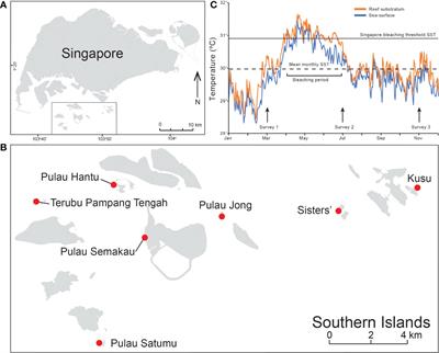 Further Flattening of a Degraded, Turbid Reef System Following a Severe <mark class="highlighted">Coral Bleaching</mark> Event